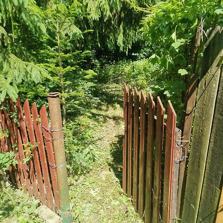 Cosy 2 Rooms Apartment With A View Near The Forest Predeal Esterno foto