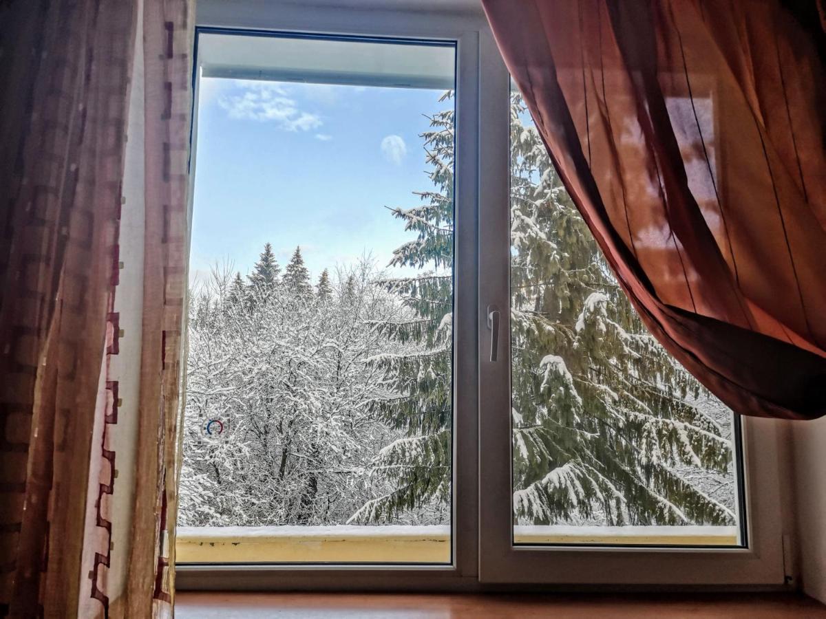 Cosy 2 Rooms Apartment With A View Near The Forest Predeal Esterno foto