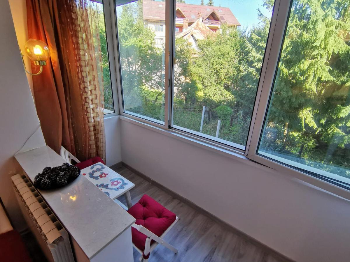 Cosy 2 Rooms Apartment With A View Near The Forest Predeal Esterno foto