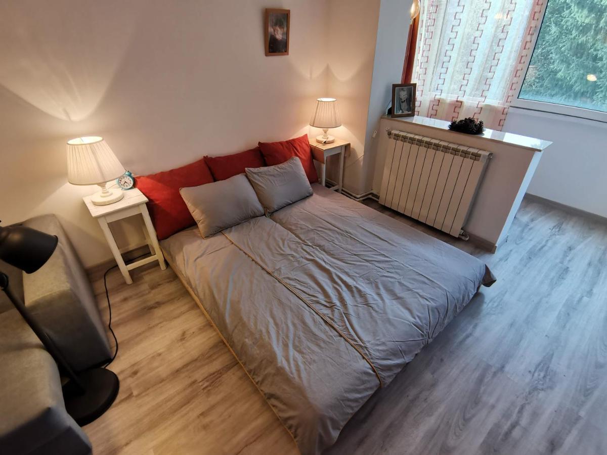 Cosy 2 Rooms Apartment With A View Near The Forest Predeal Esterno foto